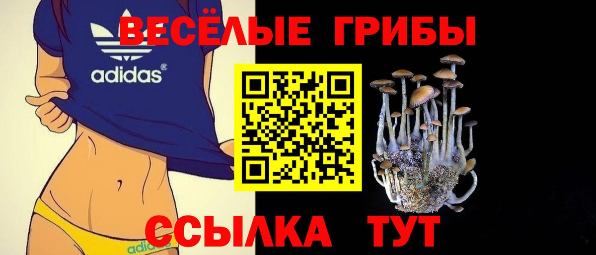 Псилоцибиновые грибы Psilocybe  Псилоцибиновые грибы мицелий  Вход с VPN  Старая Русса 
